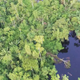 An aerial image of the spill that occurred November 27, 2018.